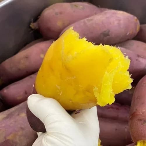 고구마(유기농으로 20만평 고구마농사짓는 선배님의 진심이 담긴 진짜 맛있는) 5
