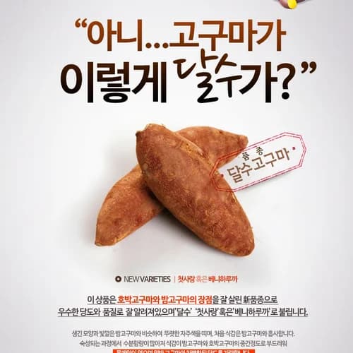 고구마(유기농으로 20만평 고구마농사짓는 선배님의 진심이 담긴 진짜 맛있는) 2