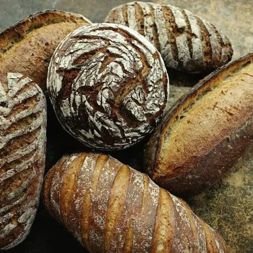 천연발효빵 식빵, 샤워도우, 치아바타, 깜빠뉴 6